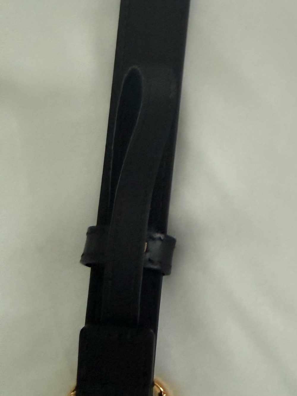 Gucci Beige Monogram Belt with Dark Brown Trim & Gold Double G Buckle - Picture 6 of 7